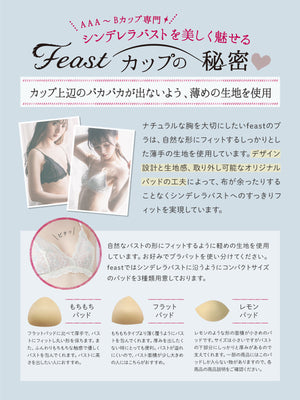 Aカップ AAカップ AAAカップ 貧乳 ブラ ノンワイヤーブラ